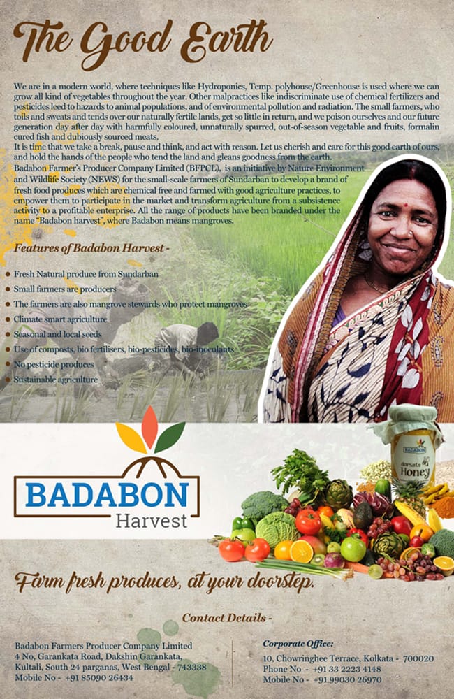 Bold Tadka - Homepage - Work Slider 1